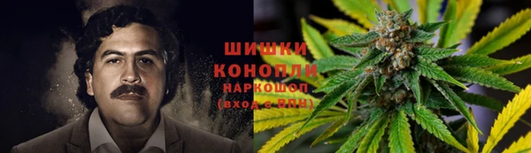 spice Куйбышев