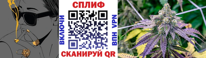 Купить где  Сенгилей  Каннабис VHQ 